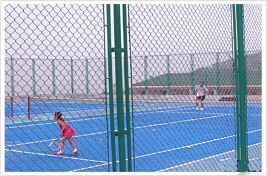 球場圍網